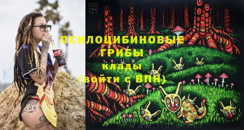 Псилоцибиновые грибы Psilocybe  Павловский Посад 